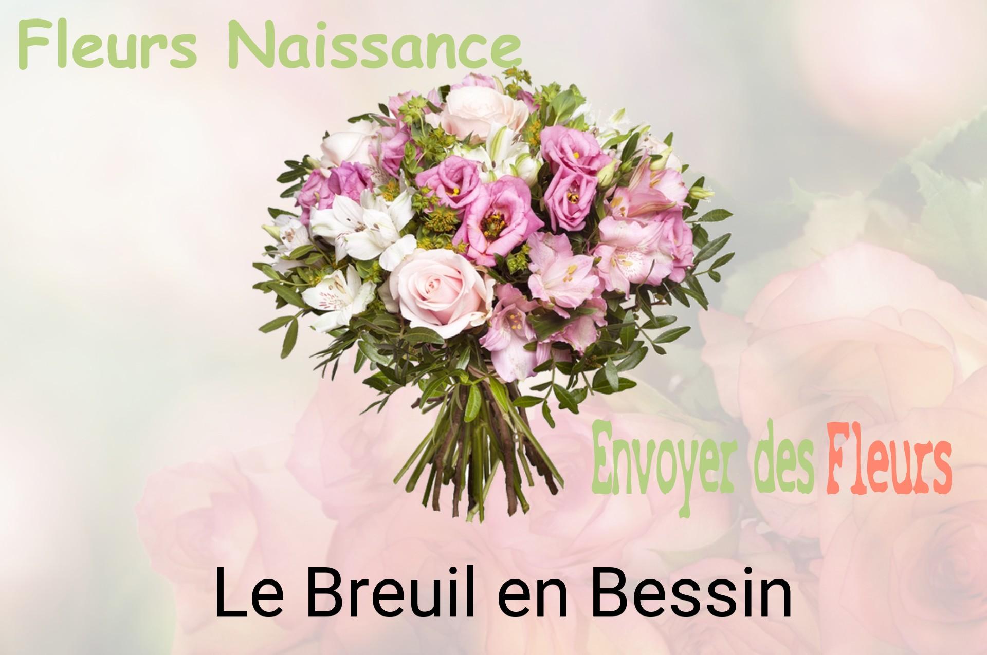 Bouquet de fleurs de naissance livré à Le Breuil-en-Bessin